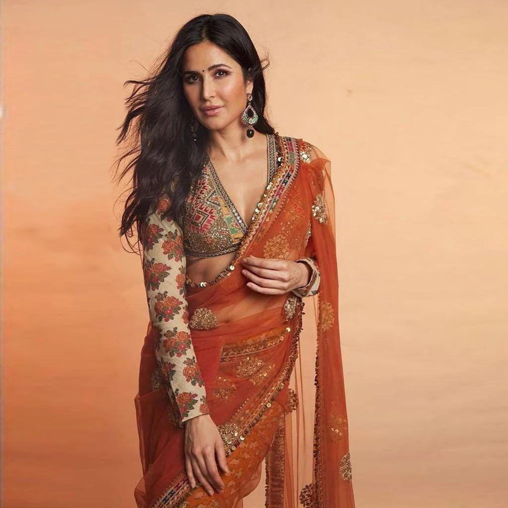 Owning Your Sunshine: A Guide to the Alluring Orange Saree 1 orange saree